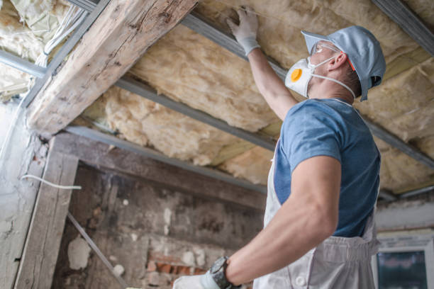 Best Eco-Friendly Insulation in Essex Village, CT
